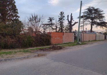 LOTE EN BARRIO ALBERDI, EXCELENTE ZONA SOBRE ASFALTO